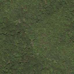 Satellite imagery of Pond Ridge, US