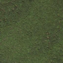 Satellite imagery of Pond Ridge, US