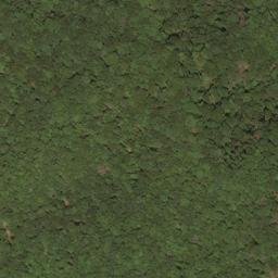 Satellite imagery of Pond Ridge, US