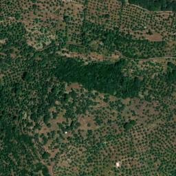 Satellite imagery of survey_point, PT