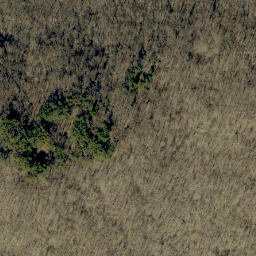 Satellite imagery of Mogan Ridge, US