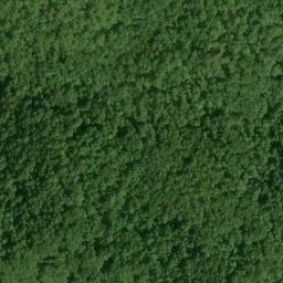 Satellite imagery of Crackersneck Ridge, US