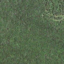 Satellite imagery of Rockcamp Ridge, US
