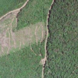 Satellite imagery of Cold Knob Mountain, US