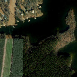 Satellite imagery of Brumleys Point, US