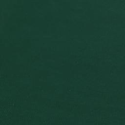 Satellite imagery of Gillespie Point, US