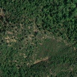 Satellite imagery of Mountain Lily Mine, US