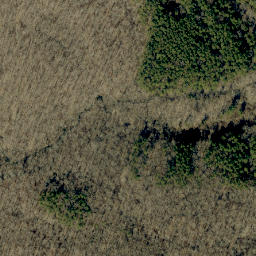 Satellite imagery of Mogan Ridge, US
