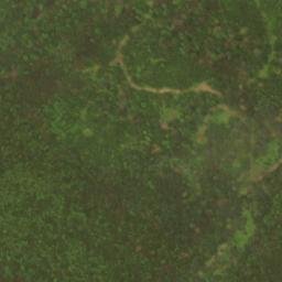 Satellite imagery of Pollock Mountain, US