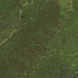 Satellite imagery of Pollock Mountain, US