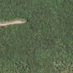 Satellite imagery of Rockcamp Ridge, US