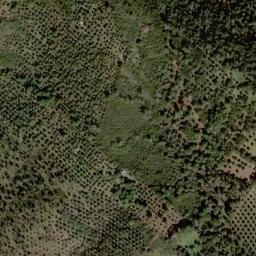 Satellite imagery of survey_point, PT
