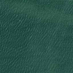 Satellite imagery of Semple Point, US