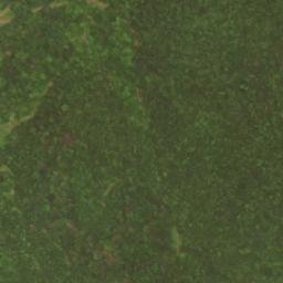Satellite imagery of Pollock Mountain, US