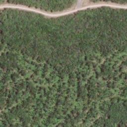 Satellite imagery of Rockcamp Ridge, US