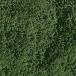 Satellite imagery of Fork Ridge, US