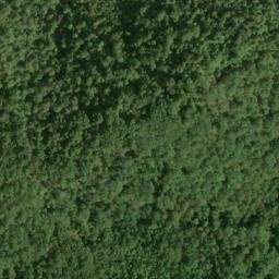 Satellite imagery of Fork Ridge, US