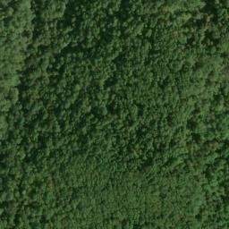 Satellite imagery of Fork Ridge, US