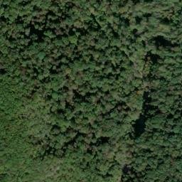 Satellite imagery of Long Point, US