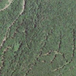 Satellite imagery of Daniel Ridge, US