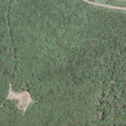 Satellite imagery of Daniel Ridge, US