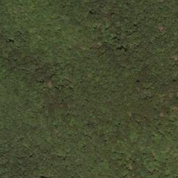 Satellite imagery of Middle Mountain, US