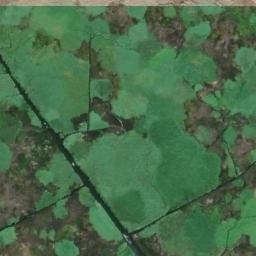 Satellite imagery of Point Wise, US