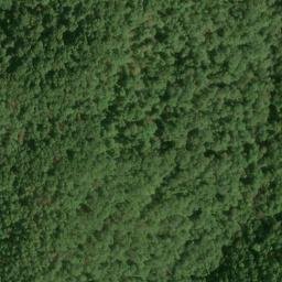Satellite imagery of Fork Ridge, US