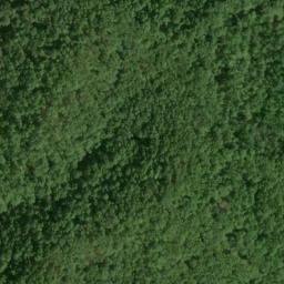 Satellite imagery of Fork Ridge, US