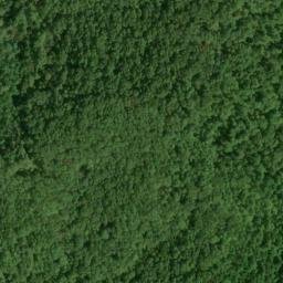Satellite imagery of Fork Ridge, US