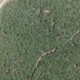 Satellite imagery of Old Field Mountain, US