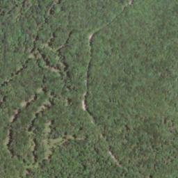 Satellite imagery of Daniel Ridge, US