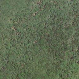 Satellite imagery of Daniel Ridge, US