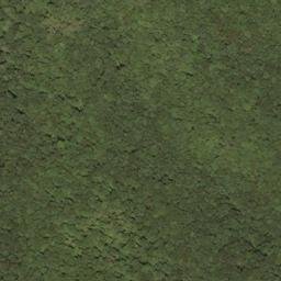 Satellite imagery of Spice Ridge, US