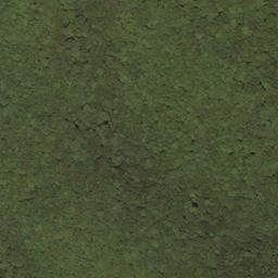 Satellite imagery of Spice Ridge, US