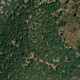 Satellite imagery of survey_point, PT