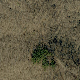 Satellite imagery of Kuntz Ridge, US