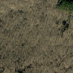 Satellite imagery of Kuntz Ridge, US