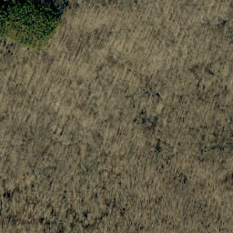Satellite imagery of Kuntz Ridge, US