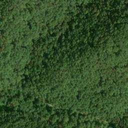 Satellite imagery of Fork Ridge, US