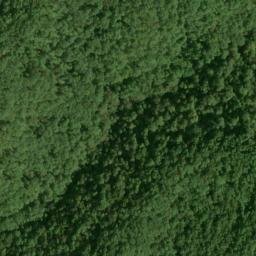 Satellite imagery of Fork Ridge, US