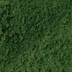 Satellite imagery of Fork Ridge, US