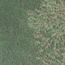 Satellite imagery of Old Field Mountain, US