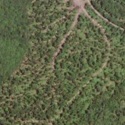 Satellite imagery of Daniel Ridge, US