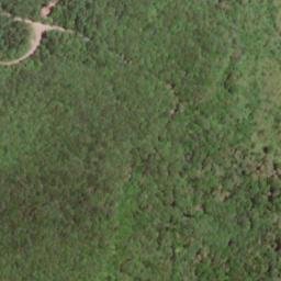 Satellite imagery of Daniel Ridge, US