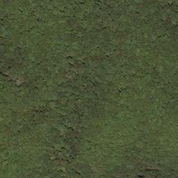 Satellite imagery of Spice Ridge, US