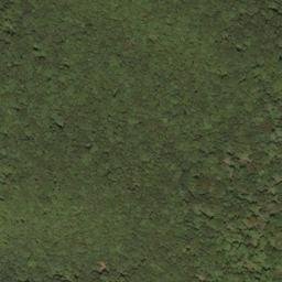 Satellite imagery of Spice Ridge, US