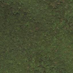 Satellite imagery of Middle Mountain, US