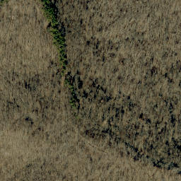 Satellite imagery of Kuntz Ridge, US