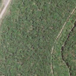 Satellite imagery of Old Field Mountain, US